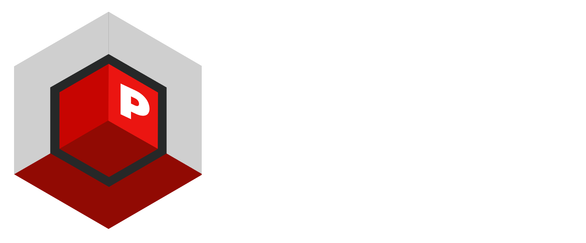 pCube Software Solution